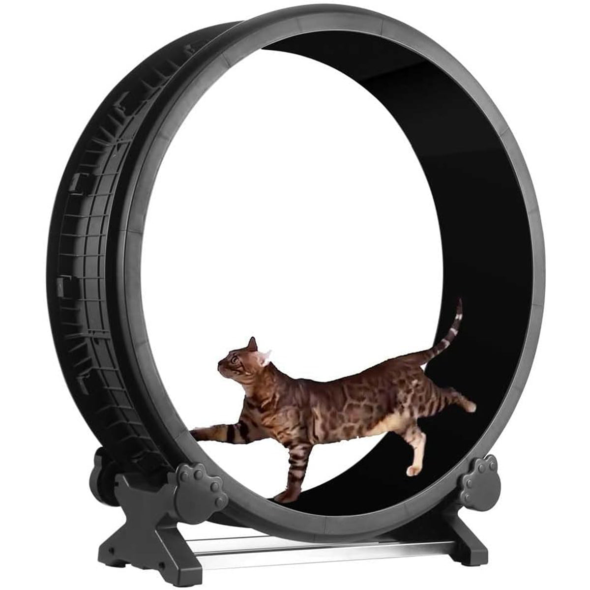 cat wheels for exercise