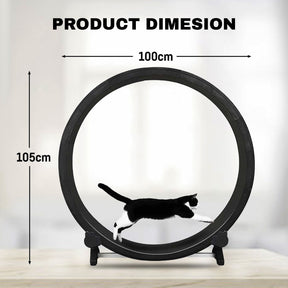 cat wheel for exercise