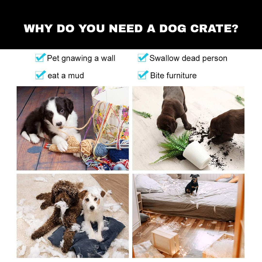 crates for dogs