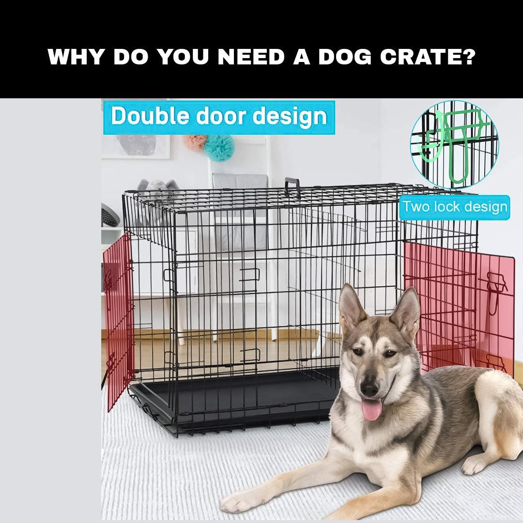 Dog Crate