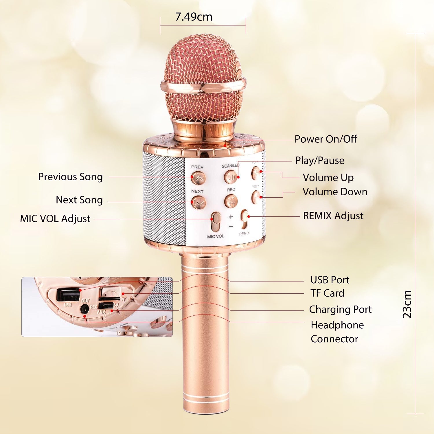 karaoke microphone and speaker