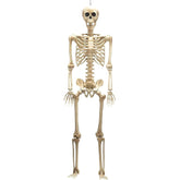 halloween decorations skeletons