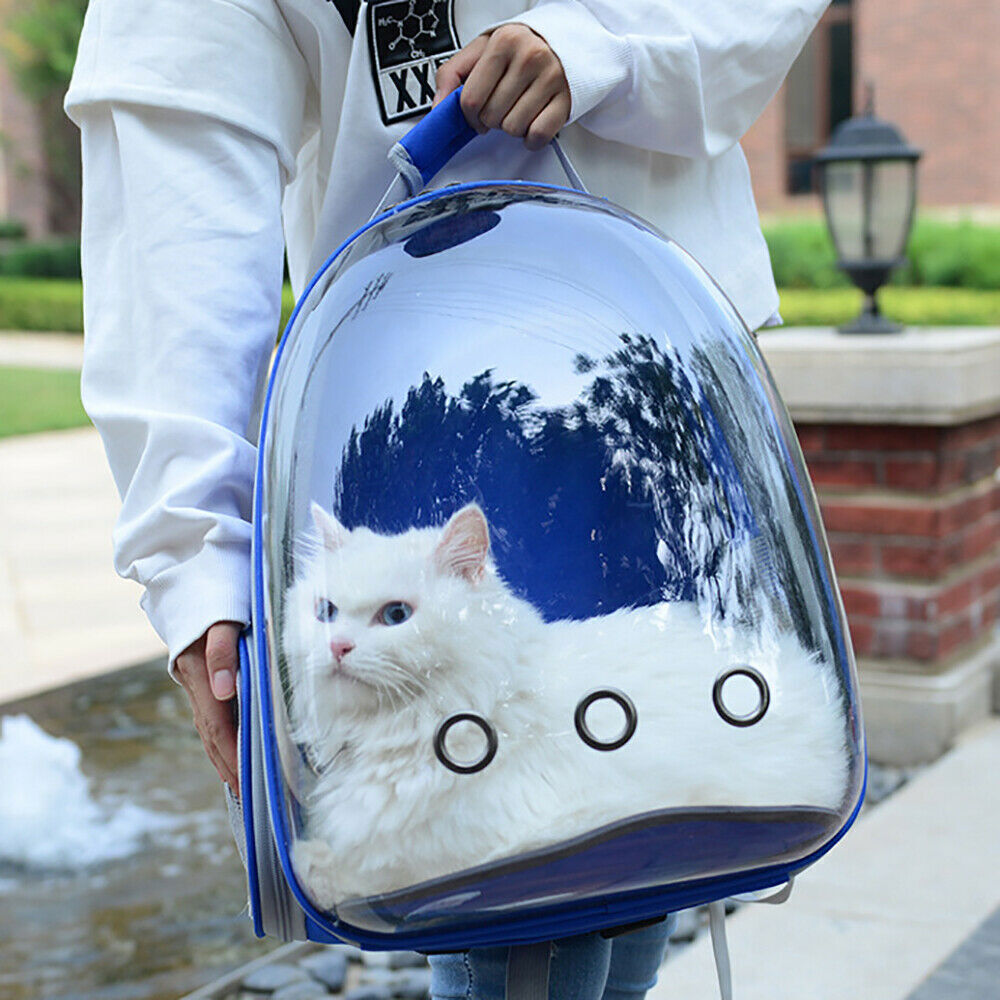 Cat Travel Backpack Astronaut Window Pet Bag Transparent Backpack Maskura Get Trendy Get Fit