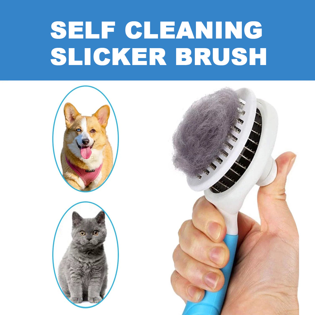 	 cat hair brush