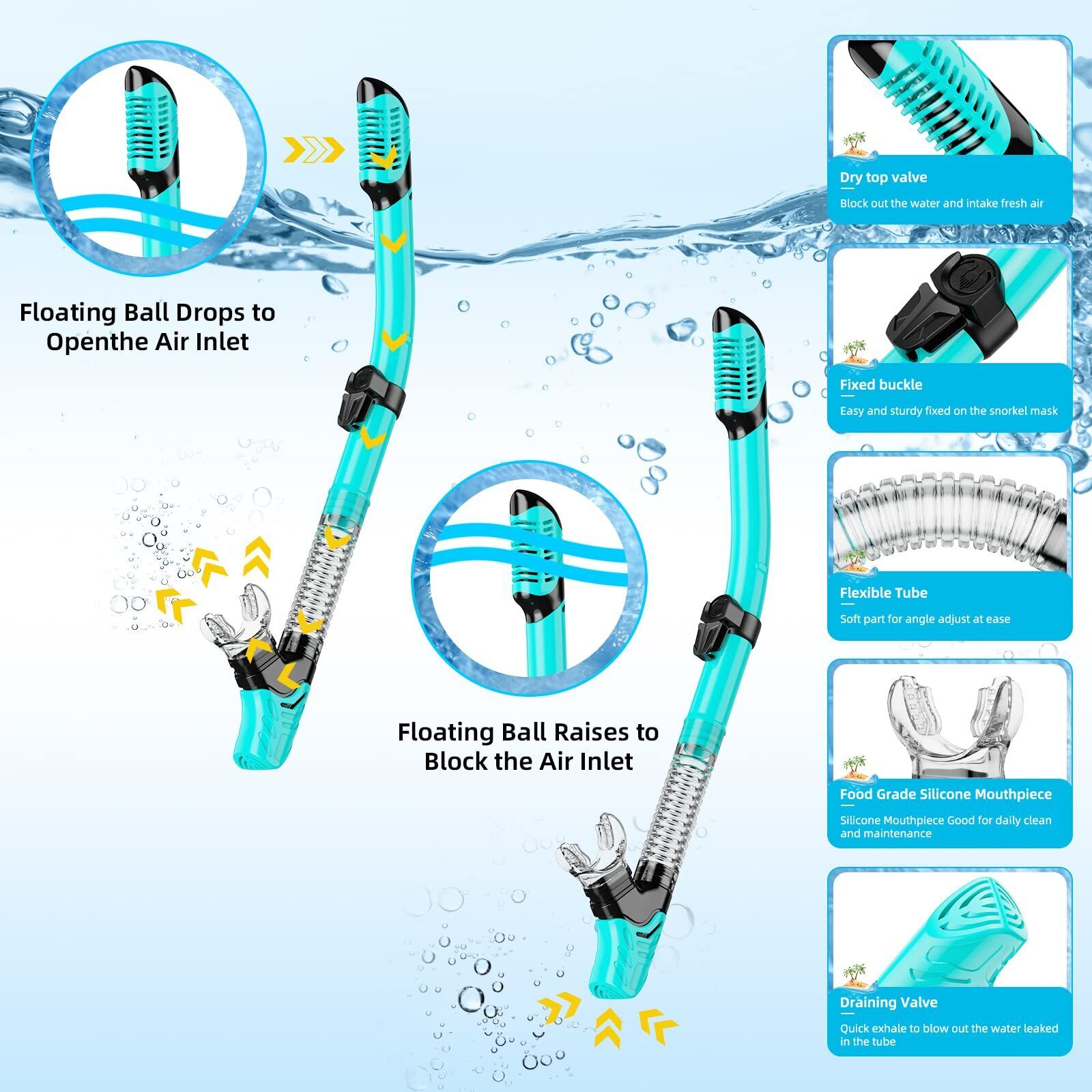 Adult Snorkel Set