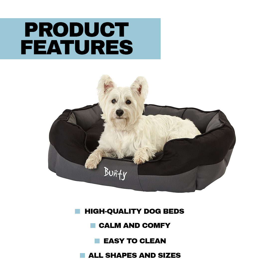 best beds for dogs