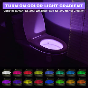 toilet with light