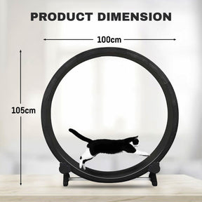 cat wheel for exercise