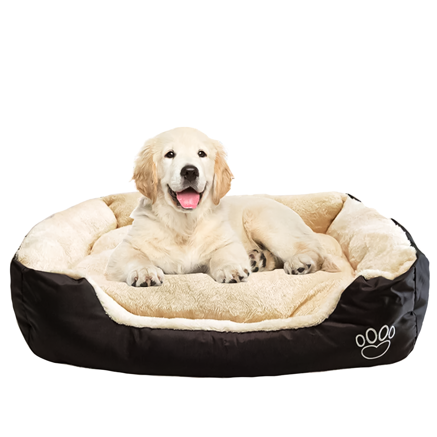 Best Washable Dog Bed