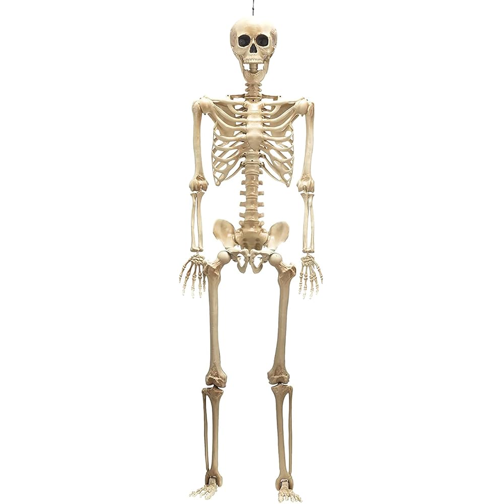 halloween decorations skeletons