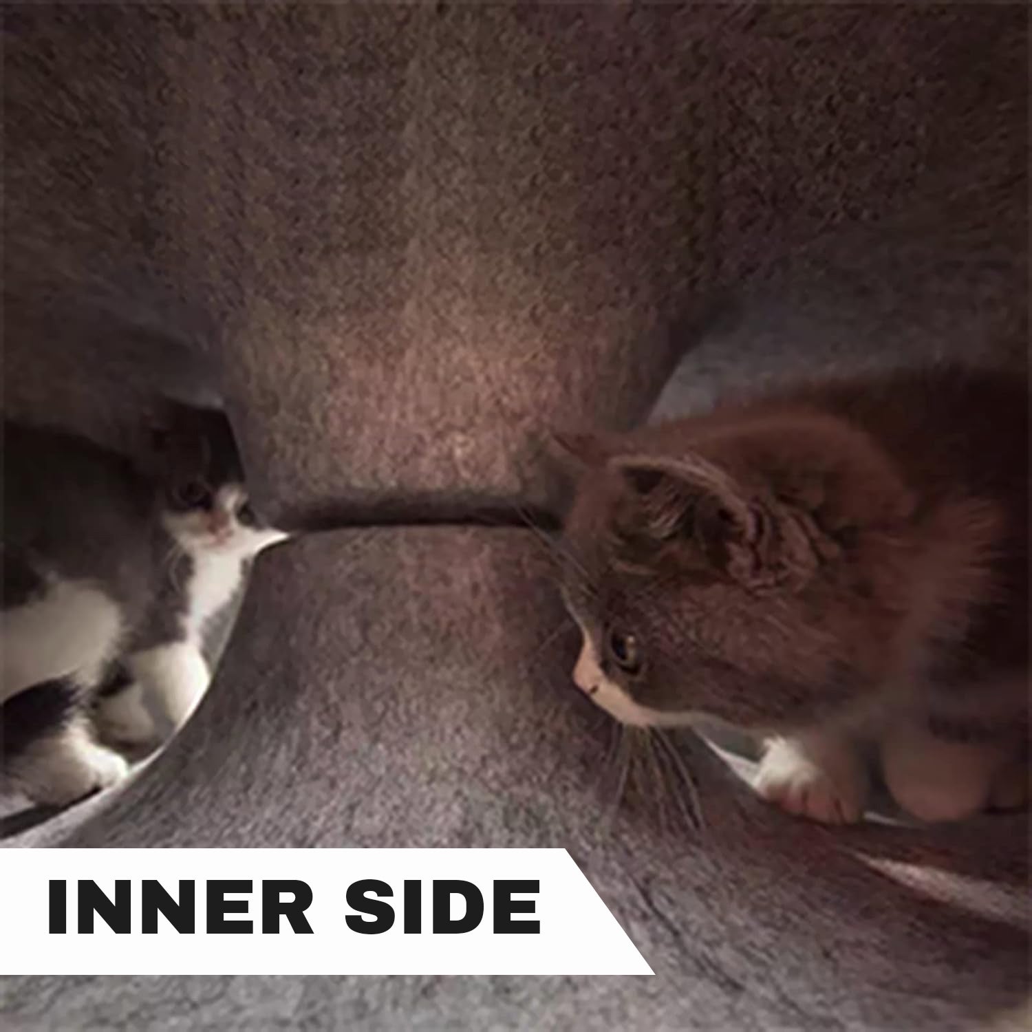 tunnel for cat