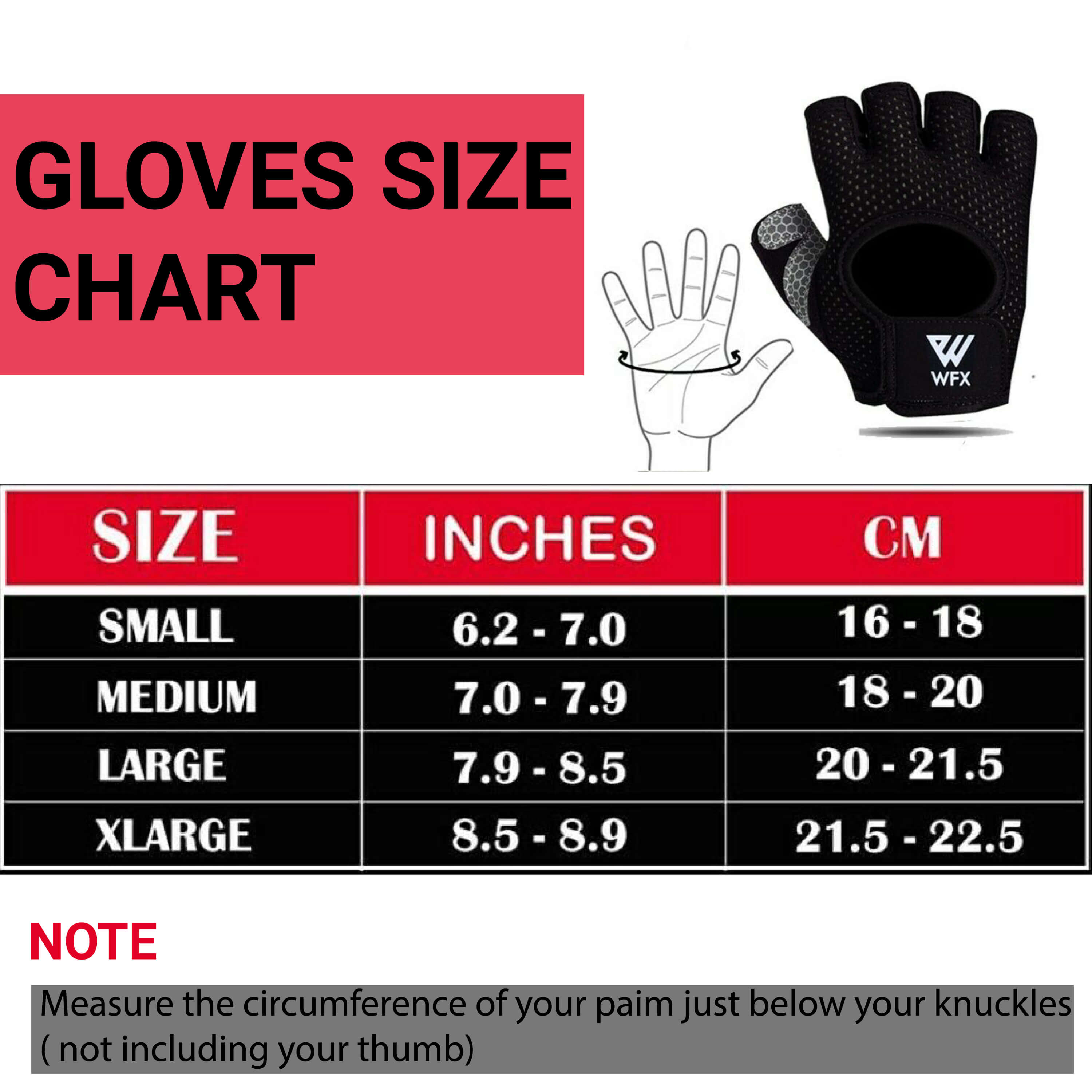 Best Gym Gloves