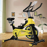 Flywheel Exercise Bike